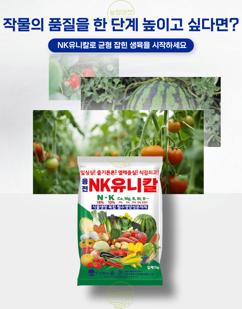 농업마켓365님의 장터 판매 상품 [농업마켓365 융전 nk유니칼 입제 1kg 유니칼슘비료 기비 추비 밑거름 웃거름 텃밭 주말농장] 첨부 사진
