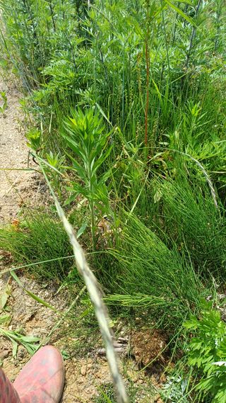 박순덕님의 자유주제 · 자유게시판 작성글 사진