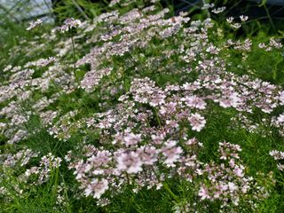 태일농산이정수님의 자유주제 · 자유게시판 작성글 사진