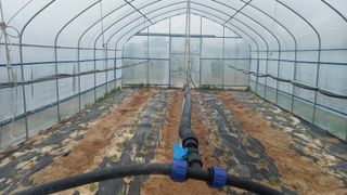 마에스타님의 자유주제 · 자유게시판 작성글 사진