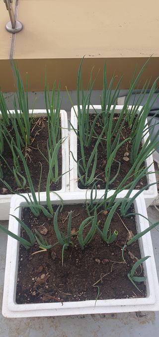 오늘도행복님의 자유주제 · 자유게시판 작성글 사진