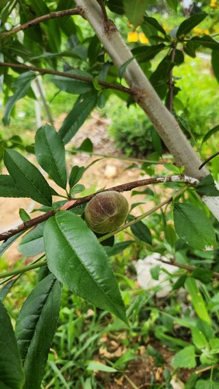 사과6329님의 자유주제 · 자유게시판 작성글 사진