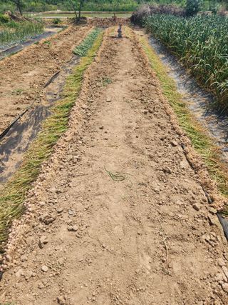 갑돌이님의 자유주제 · 자유게시판 작성글 사진