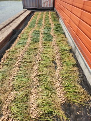 갑돌이님의 자유주제 · 자유게시판 작성글 사진