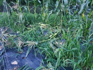 용진님의 자유주제 · 자유게시판 작성글 사진