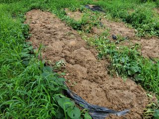 용진님의 자유주제 · 자유게시판 작성글 사진