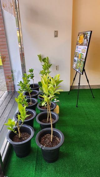 정미리님의 자유주제 · 자유게시판 작성글 사진