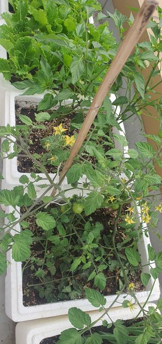 오늘도행복님의 자유주제 · 자유게시판 작성글 사진