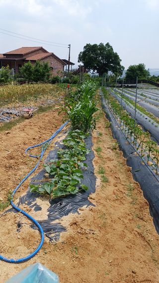 박순덕님의 자유주제 · 자유게시판 작성글 사진