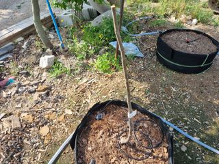 원인호님의 자유주제 · 자유게시판 작성글 사진