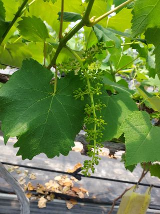 태일농산이정수님의 자유주제 · 자유게시판 작성글 사진