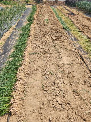 갑돌이님의 자유주제 · 자유게시판 작성글 사진