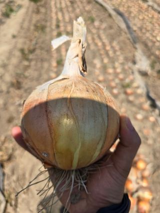 퇴비사랑님의 자유주제 · 자유게시판 작성글 사진