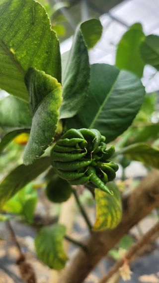 정미리님의 자유주제 · 자유게시판 작성글 사진