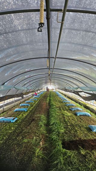 퇴비사랑님의 자유주제 · 자유게시판 작성글 사진