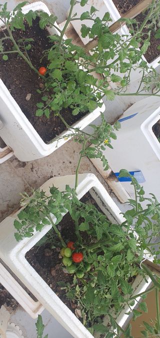 오늘도행복님의 자유주제 · 자유게시판 작성글 사진