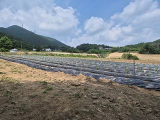 왕초보님의 자유주제 · 자유게시판 작성글 사진