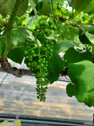 태일농산이정수님의 자유주제 · 자유게시판 작성글 사진