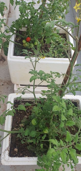 오늘도행복님의 자유주제 · 자유게시판 작성글 사진