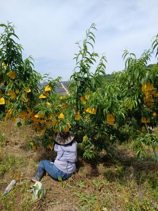 사과6329님의 자유주제 · 자유게시판 작성글 사진