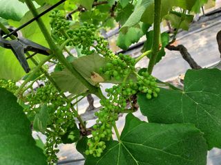 태일농산이정수님의 자유주제 · 자유게시판 작성글 사진