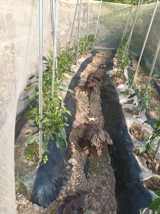 호박24125님의 자유주제 · 자유게시판 작성글 사진