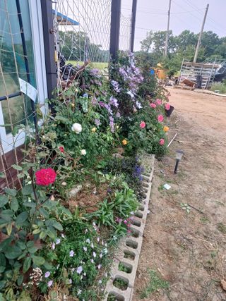 이정민님의 자유주제 · 사진전 작성글 사진