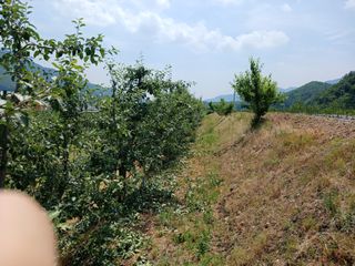 알 수 없음님의 자유주제 · 자유게시판 작성글 사진
