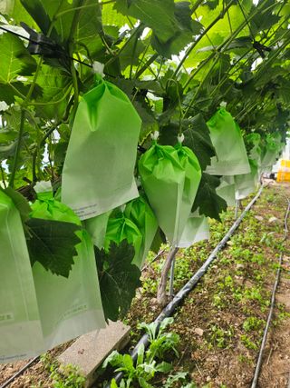 최지훈님의 자유주제 · 자유게시판 작성글 사진