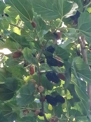 이정민님의 자유주제 · 사진전 작성글 사진