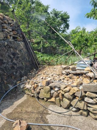 김용대님의 자유주제 · 자유게시판 작성글 사진