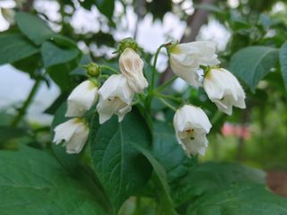 안길원님의 자유주제 · 자유게시판 작성글 사진