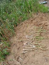 팜모닝 자유주제·자유게시판 게시글 이미지