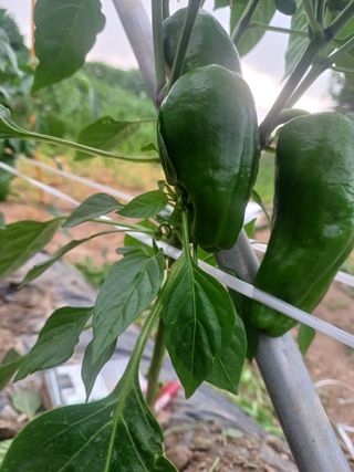 이정민님의 자유주제 · 사진전 작성글 사진