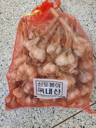 그린팜님의 작성글 사진