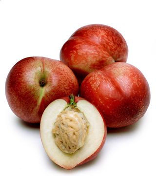 써니네님의 작성글 사진