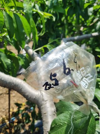 김용대님의 자유주제 · 자유게시판 작성글 사진