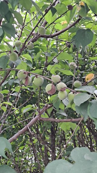 MSG0074님의 자유주제 · 자유게시판 작성글 사진