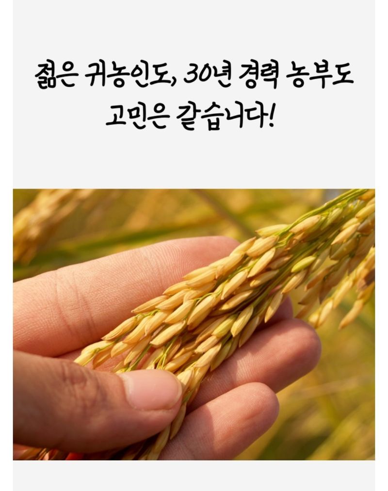 대산농사대장님의 장터 판매 상품 [특허제 0454288호 규산황골드 1L 유기농자재 병충해예방 ] 첨부 사진