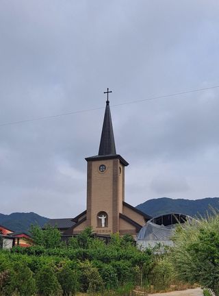 MSG0074님의 자유주제 · 자유게시판 작성글 사진