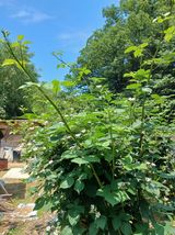 팜모닝 자유주제·자유게시판 게시글 이미지