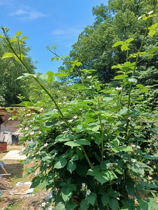 행복한일상님의 자유주제 · 자유게시판 작성글 사진