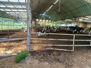 이정민님의 자유주제 · 사진전 작성글 사진