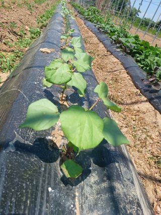 이정민님의 자유주제 · 사진전 작성글 사진