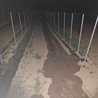 오영도님의 자유주제 · 자유게시판 작성글 사진