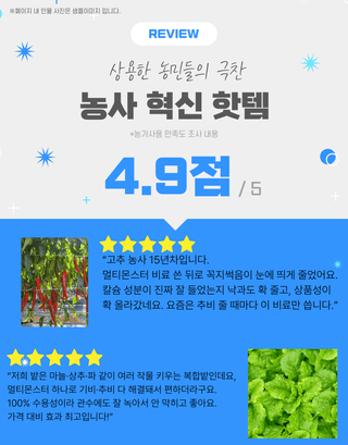 대산농사대장님의 고추 · 비료•농약 작성글 사진