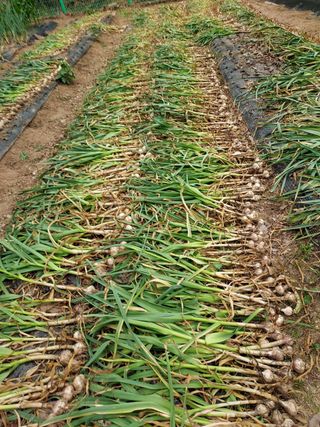 이창화님의 자유주제 · 자유게시판 작성글 사진