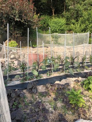 호박24125님의 자유주제 · 자유게시판 작성글 사진