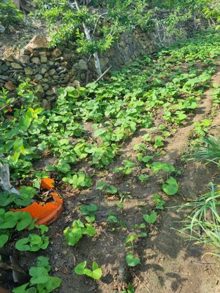 김용대님의 자유주제 · 자유게시판 작성글 사진