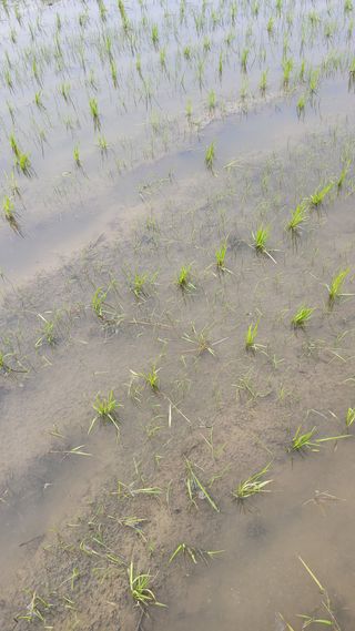 김수환님의 자유주제 · 자유게시판 작성글 사진